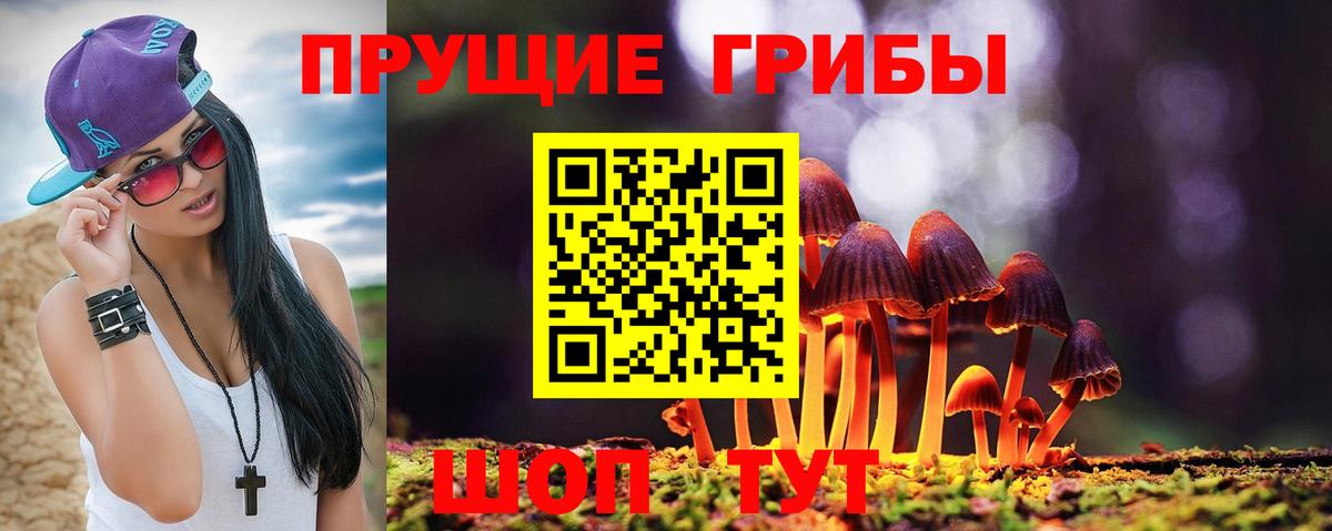 Галлюциногенные грибы мицелий Трёхгорный